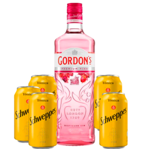 Gin Gordon´s Pink +5 Schweppes Tônica